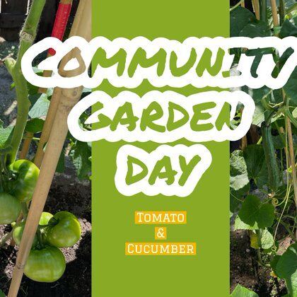 Image for twitter card