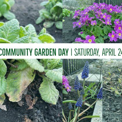 Image for twitter card